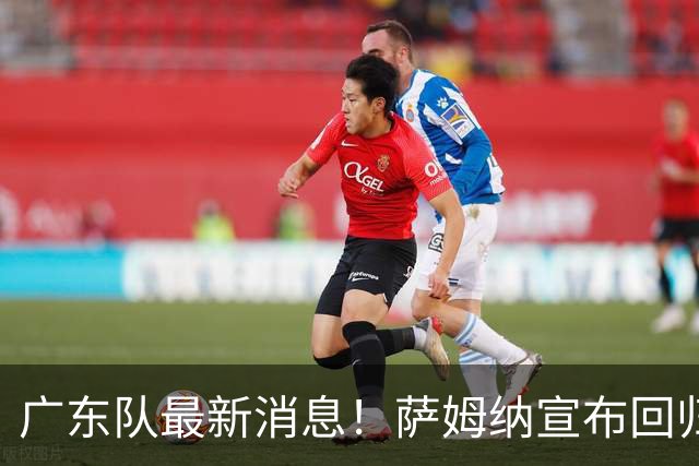 广东队最新消息！萨姆纳宣布回归，杜锋有望接任男篮主帅一职！